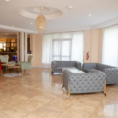 Hôtel Millennium Kamissa-3